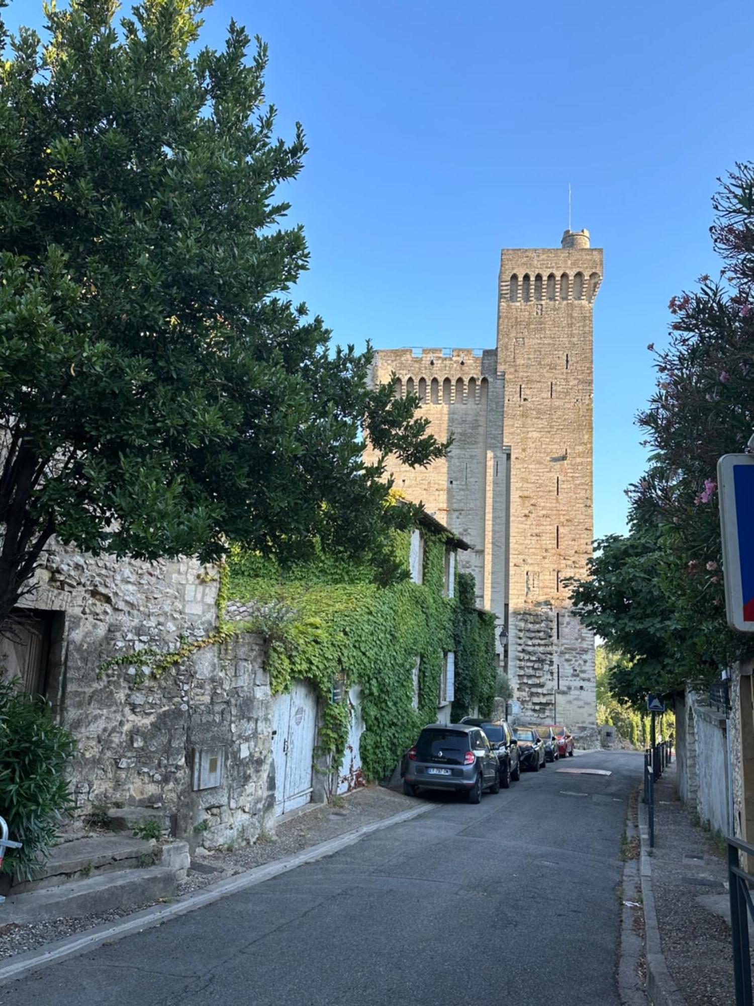 Charmante Petite Maison Avec Vue Panoramique, En Centre Historique, Proche D'Avignon, Ancienne, Renovee, Climatisee, Terrasse, Parking Public Gratuit Villeneuve-lès-Avignon Exteriör bild