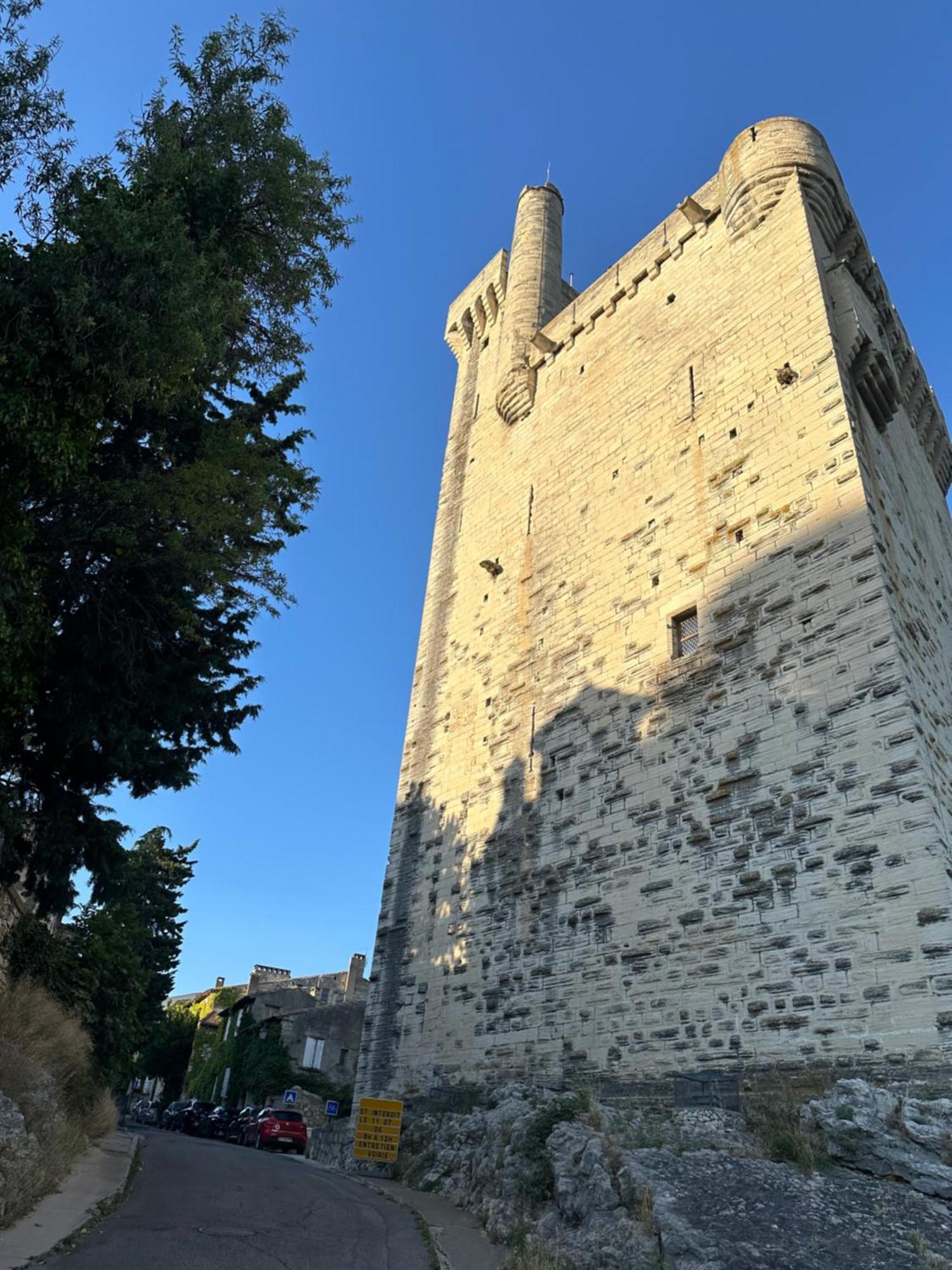 Charmante Petite Maison Avec Vue Panoramique, En Centre Historique, Proche D'Avignon, Ancienne, Renovee, Climatisee, Terrasse, Parking Public Gratuit Villeneuve-lès-Avignon Exteriör bild